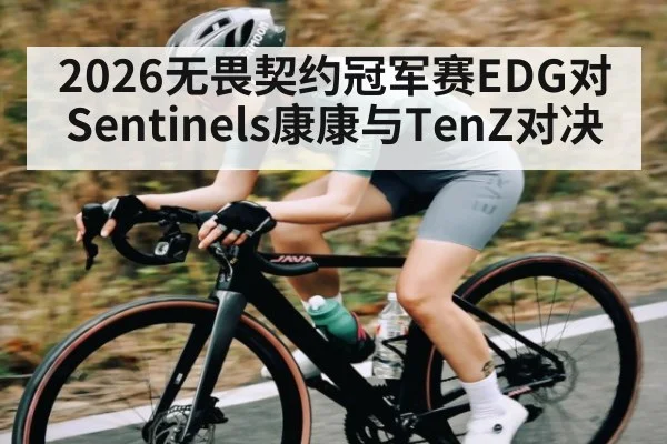 2026无畏契约冠军赛EDG对Sentinels康康与TenZ对决